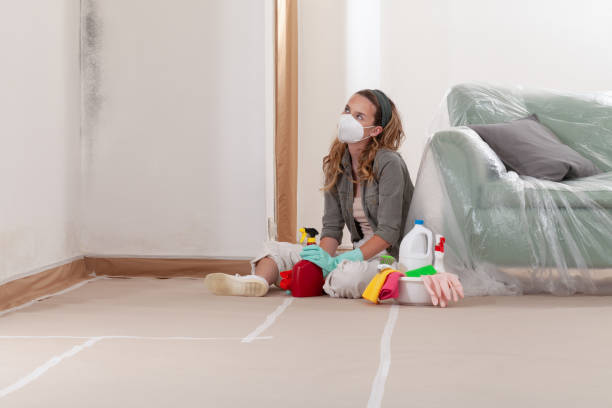 Reliable Mold Remediation contractor in Bridgeport, TX by Mold Remediation HQ